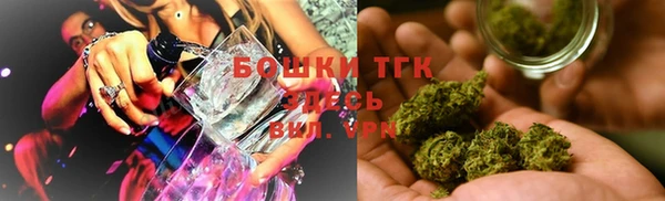 индика Балабаново
