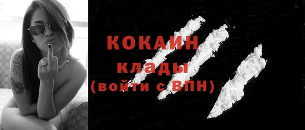 индика Балабаново