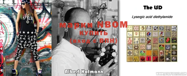 индика Балабаново