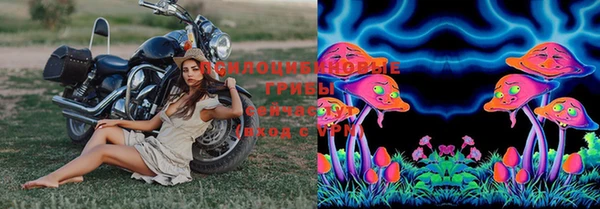 PSILOCYBIN Белокуриха
