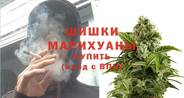 индика Балабаново