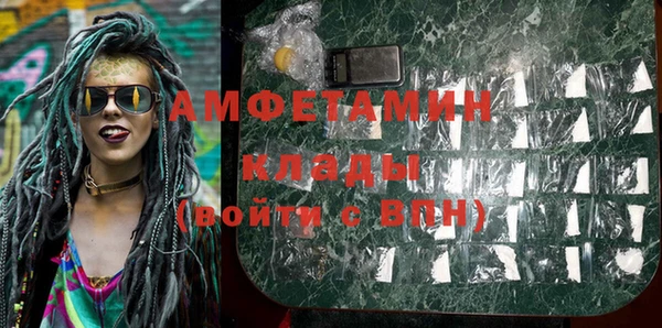 индика Балабаново