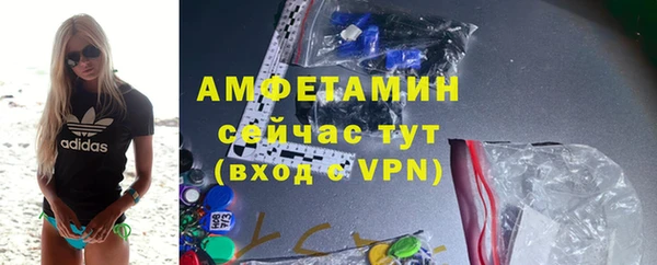 индика Балабаново