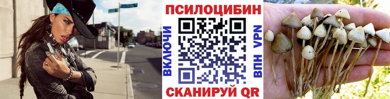 ссылка на мегу зеркало  Северо-Курильск  Галлюциногенные грибы Psilocybine cubensis  хочу наркоту 